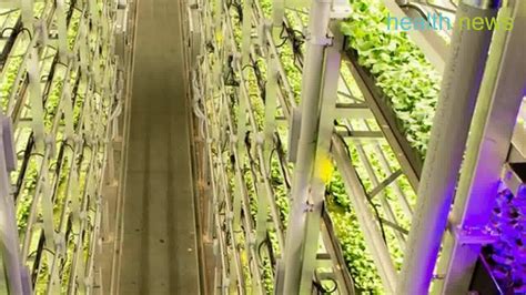 Aerofarms The Worlds Biggest Vertical Farm Youtube