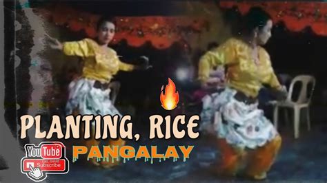 Planting Rice Pangalay Youtube