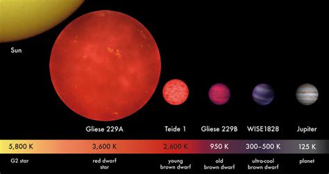 Brown Dwarf Roses Brown Dwarf Stars Are Gas Giants Planet