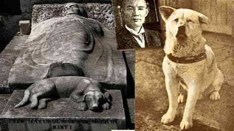 Hachiko The Symbol Of Loyalty A Wonderful Story Of Dog