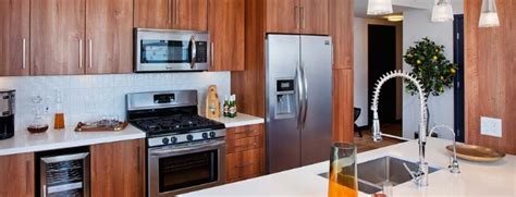The 7 best induction ranges. Best 11 Kitchen Appliances Brands in India 2020 - Price ...