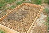 Pictures of Composting Directly In The Garden
