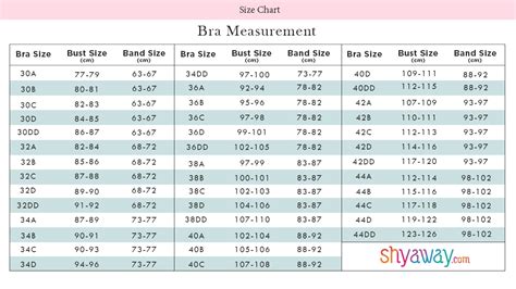 Push Up Bras Size Chart For Every Woman Of Any Size