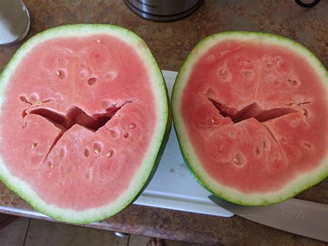 This Watermelon Is Split Inside Rmildlyinteresting