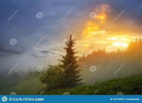 Beautiful Summer Sunset Scene In The Mountains With Spectacular Sky And