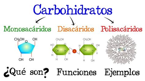 Tipos De Carbohidratos Monosacáridos Disacáridos Y Polisacáridos