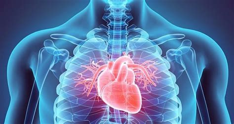 Choroba Niedokrwienna Serca Przyczyny Objawy Leczenie Choroby Od