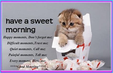 391 Best Kitty Good Morning Images On Pinterest Good Morning Bonjour