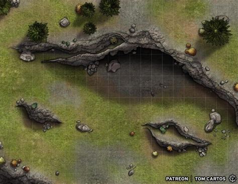 Into The Wilds Cave Entrance 22x17 Dndmaps In 2021 Dungeon Maps