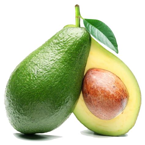 Avocado Png Clipart Png All