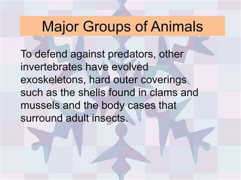 Major Groups Of Animals