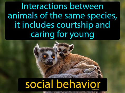 Social Behavior Easy To Understand