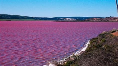 The Reason Behind The Colour Of Lake Hillier Aka Bubblegum Pink Lake