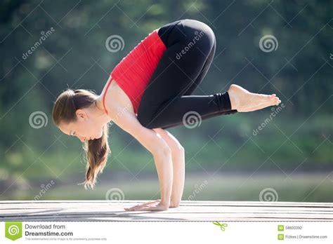 The best selection of royalty free bakasana vector art, graphics and stock illustrations. Teenage Girl Doing Crane Pose Stock Photo - Image of pose ...