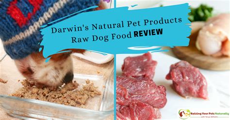 Discover more about them, recent recalls of the brand, and reviews nature's variety was founded in 2002 by bob milligan and initially started in lincoln, nebraska, with the sole purpose of transforming dogs' lives by creating quality raw. Best Raw Dog Food Reviews: Darwin's Natural Pet Products ...
