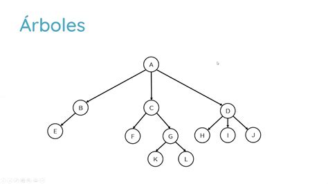 Estructura De Datos Rboles Binarios Conceptualizaci N Youtube