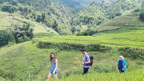 How To Find The Best Sapa Trekking Tours Trekking Tour Trekking Tours