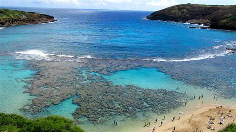 Snorkeling At Hanauma Bay Hawaii Everything You Need To Know