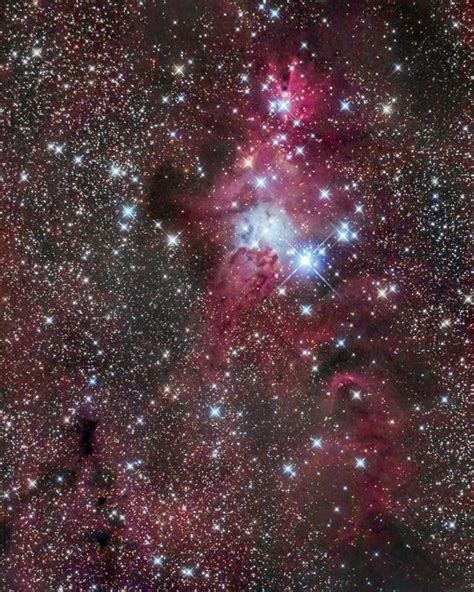 Ngc 2264 Christmas Tree Cluster Cone Nebula Astrophotography