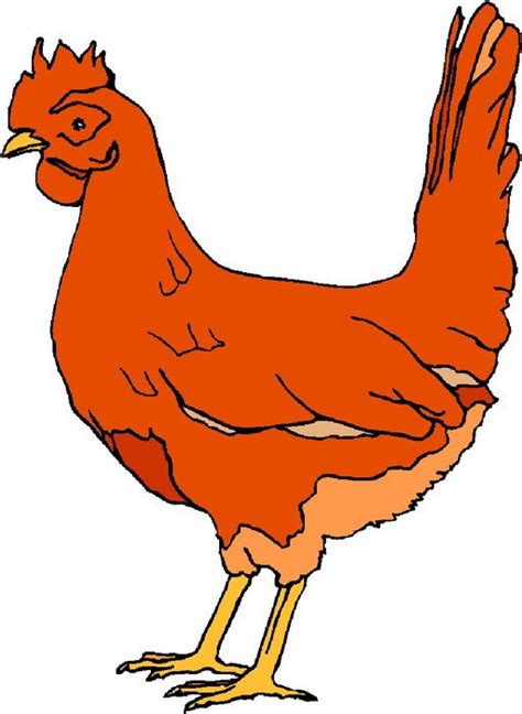 Orange Chicken Drawing Free Image Download
