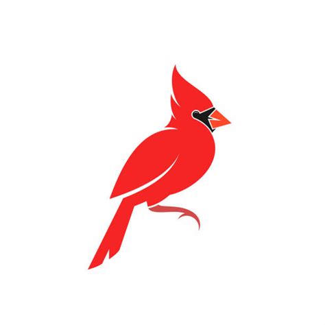 Male Cardinal Silhouette Illustrations Royalty Free Vector Graphics