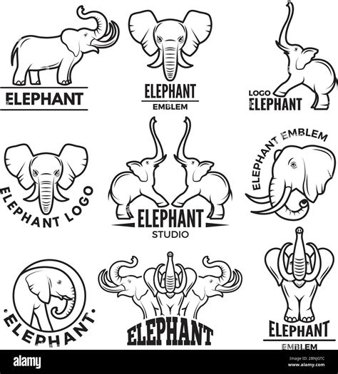 Logo Templates With Pictures Of African Elephant Stock Vector Image