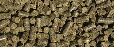 The Advantages And Disadvantages Of Feeding A Horse Pellets Horse
