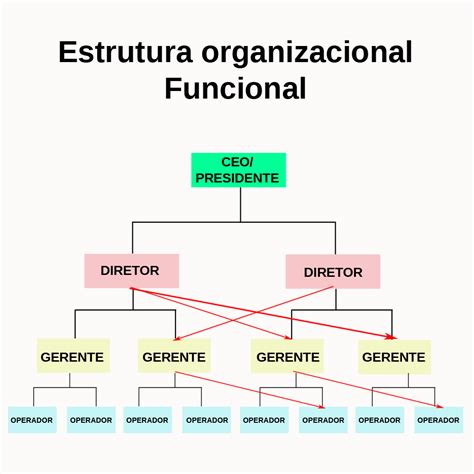 Tipos De Estrutura Organizacional Linear Funcional E Linha Staff