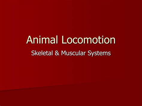 Ppt Animal Locomotion Powerpoint Presentation Free Download Id580879