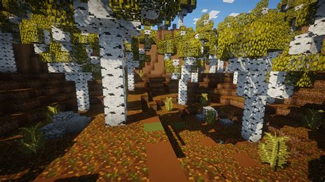 Birch Forest Minecraft Map