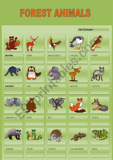Forest Animals Esl Worksheet By Gemaherlo