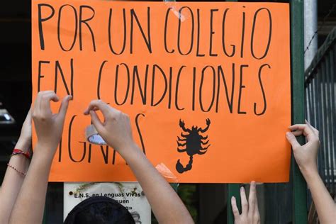 Alacranes En El Lengüitas El Gobierno Porteño Empezó La Limpieza De La Escuela Pero Los Padres