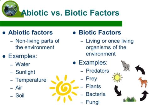 What Is The Difference Between Biotic And Abiotic Factors The