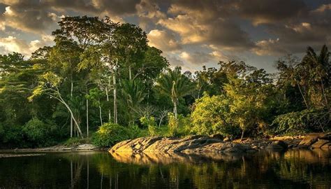 Suriname South America Rainforest Breathtaking Views