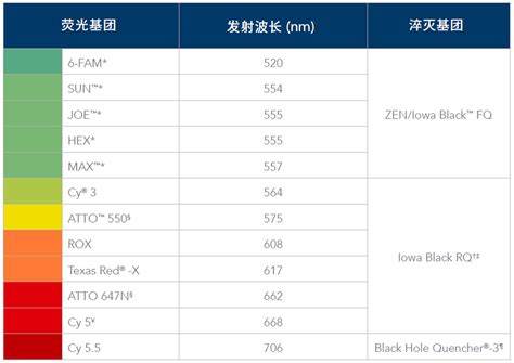 Idt Qpcr定制合成服务引物双淬灭探针中国一级代理商