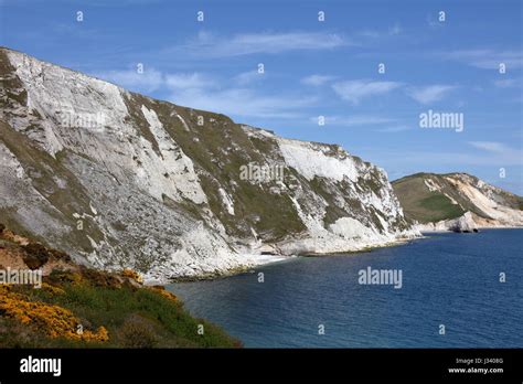 Crumbling Chalk Cliff Face With Well Established Sea Eroded Talus Cone