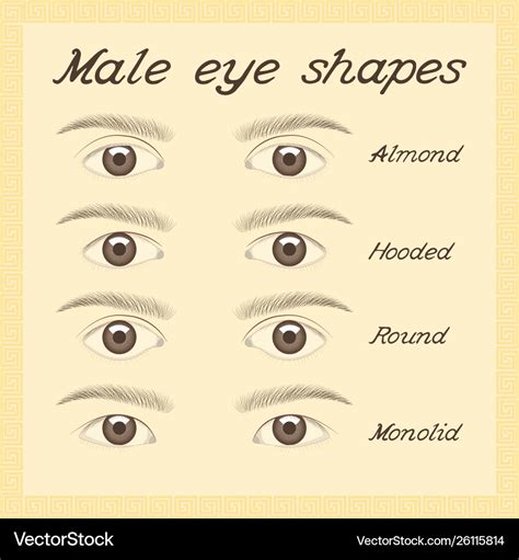 Men Eye Shapes Chart My Xxx Hot Girl