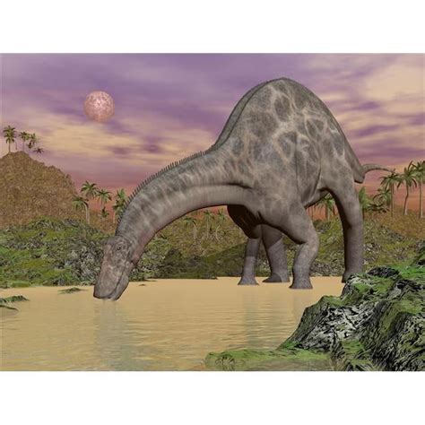 Large Dicraeosaurus Dinosaur Drinking Water In A Prehistoric Landscape