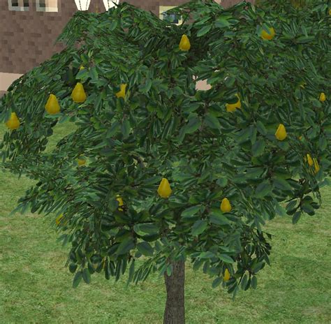 Mod The Sims Custom Seasons Orchard Trees Peach And Pear