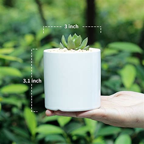 Greenaholics Succulent Plant Pots 3 Inch Small White Ceramic Planter