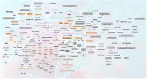 Mapa Mental Biologia Molecular