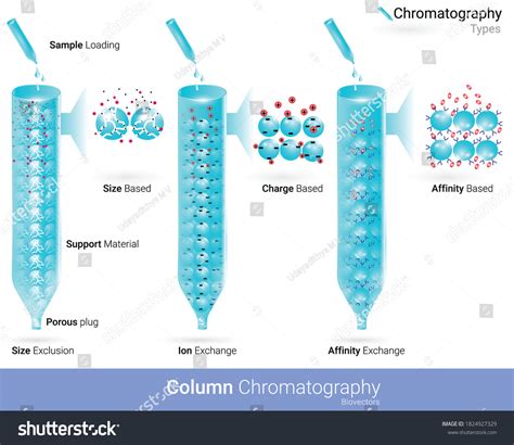 Affinity Chromatography Gambar Foto Stok Vektor Shutterstock