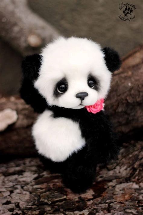Panda Loves You So Much Cute Stuffed Animals Baby Animals Super Cute
