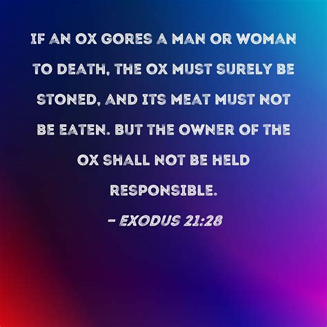 Exodus 2128 If An Ox Gores A Man Or Woman To Death The Ox Must Surely