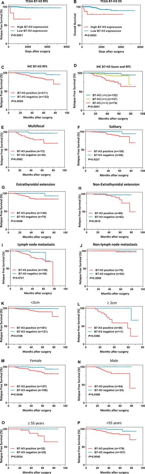 Frontiers Clinical Significance Of The Expression Of Co Stimulatory