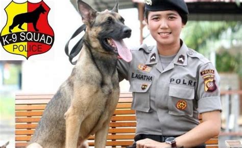 Mengenal Anjing Polisi K 9 Balebandung