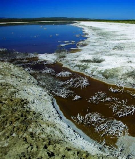 Some are so common we don't even notice them happening. Evaporation Ponds - Water Education Foundation