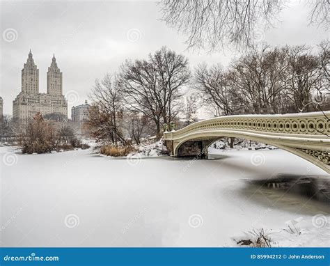 Central Park Del Ponte Dellarco Durante La Tempesta Della Neve