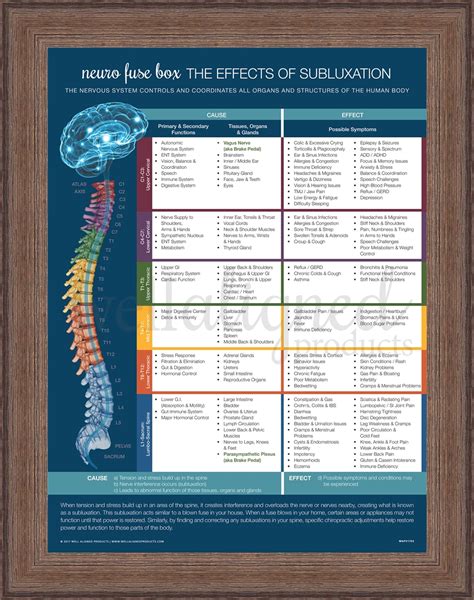 Effects Of Subluxation Chart Nervous System Poster Chiropractic