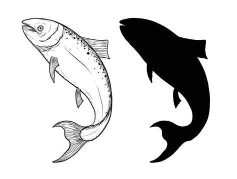 Fish Vector By Hand Drawing 534720 Vector Art At Vecteezy